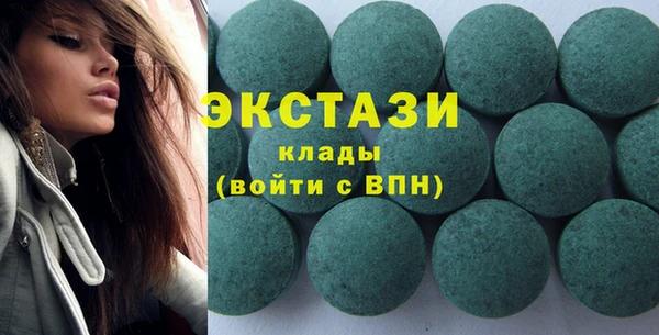 индика Мегион