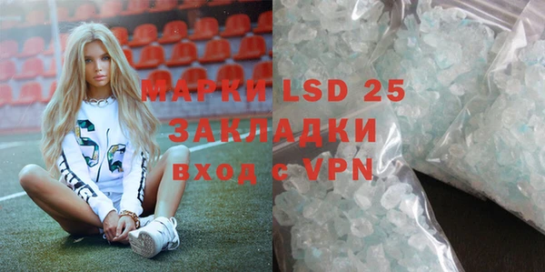 индика Мегион