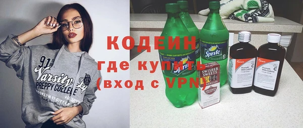индика Мегион