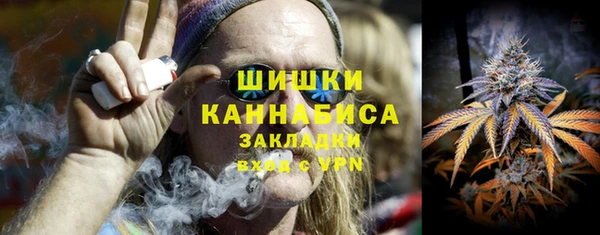 ПСИЛОЦИБИНОВЫЕ ГРИБЫ Медвежьегорск