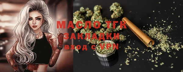 индика Мегион